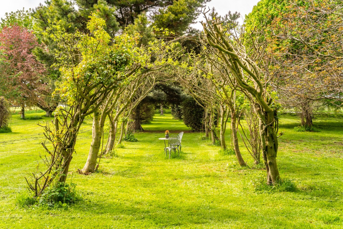 Property For Sale Near Thirsk With Land Croft Residential