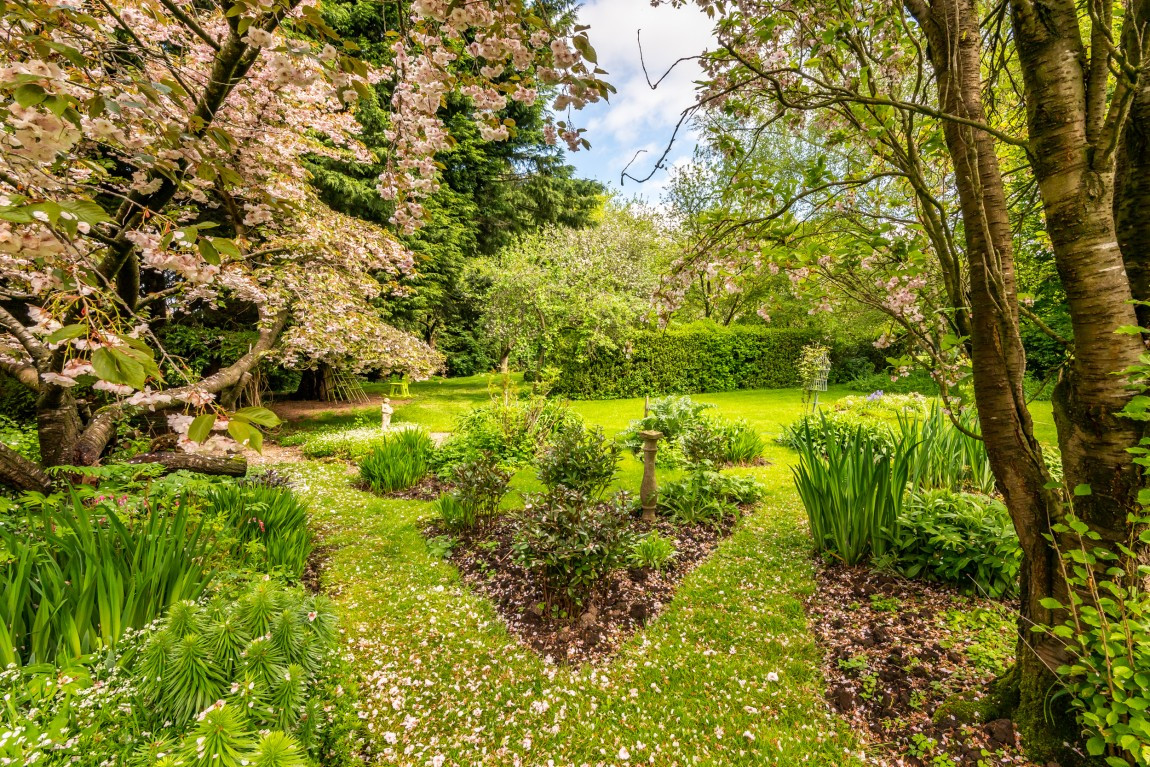 Property For Sale Near Thirsk With Land Croft Residential